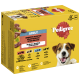 Pedigree Adult Hundefutterbox mit gemischter Auswahl in Gelee, mit Geschmacksrichtungen wie Rind, Huhn und Fisch. Enthält 12 Portionen.