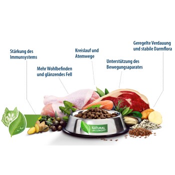 Hundenapf mit natürlichen Zutaten wie Fleisch, Fisch, Gemüse und Text, der gesundheitliche Vorteile auf Deutsch hervorhebt.