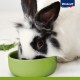 LIFE POWER Zwergkaninchen 600g