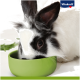 Un gros plan d'un lapin noir et blanc mangeant dans un bol vert, avec des légumes frais à proximité ; logo Vitakraft dans le coin.