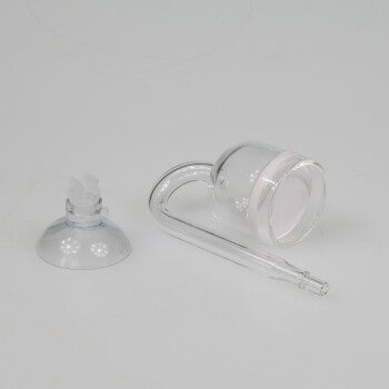 Klarer Glas-Haustier-Wasserspender mit gebogenem Auslauf und abnehmbarem Deckel, entworfen für einfaches Befüllen und Benutzen.