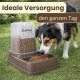Hund frisst aus einem GarPet-Automatik-Futterspender auf dem Gras; sichtbarer Text: 'Ideale Versorgung' und 'den ganzen Tag'.