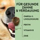 Nahaufnahme eines lächelnden Hundes mit einem Leckerli, mit dem Text: "Für gesunde Zähne & Verdauung" und Zutatenliste.
