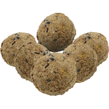 Meisenknödel 100er ohne Netz Ein Cluster aus sechs runden, strukturierten Tierfutterbällen aus natürlichen Zutaten, mit einer Mischung aus Getreide und Samen.