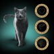 A gray cat on a teal background with three gold badges: "100% Complete Nutrition," "Natural Ingredients," and "No Artificial Colors."