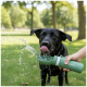 Schwarzer Hund leckt Wasser aus einer grünen tragbaren Haustierflasche mit der Aufschrift ‚romneys‘, die von einer Hand im Park gehalten wird.
