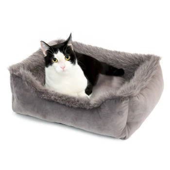 Ein gemütliches graues Haustierbett mit einem weichen, plüschigen Rand, in dem eine schwarz-weiße Katze bequem ruht.