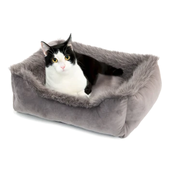 Ein gemütliches graues Haustierbett mit einem weichen, plüschigen Rand, in dem eine schwarz-weiße Katze bequem ruht.