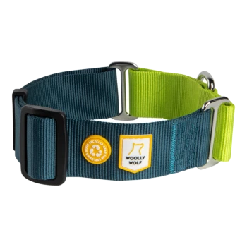 Ein blau-grüner verstellbarer Hundehalsband mit einem "Woolly Wolf"-Logo und einem Recycling-Symbol, das sein umweltfreundliches Design zeigt.