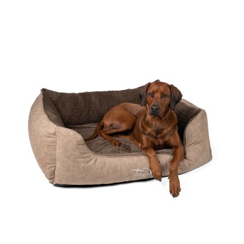 Ein brauner Hund liegt auf einem plüschigen, beige-braunen Haustierbett mit einem gesteppten Innenraum, auf dessen Seite der Text "TrendPet" steht.