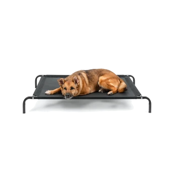 Ein entspannter brauner Hund, der auf einem schwarzen erhöhten Haustierbett mit einem stabilen Metallrahmen liegt, vor einem weißen Hintergrund.
