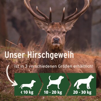 Ein majestätischer Hirsch in üppigem Grün, mit überlagertem Text: "Langanhaltende Kaustange - robust & splittert nicht" und "Langanhaltender Hundekauartikel."