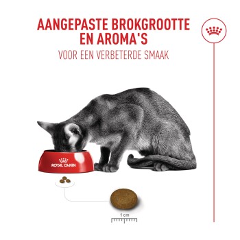 Grijze kat eet uit een rode voerbak met opschrift ROYAL CANIN; brokje met schaal van 1 cm afgebeeld; Nederlandse koptekst erboven.