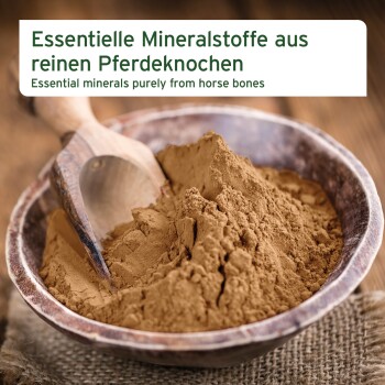 Schale mit braunem Pulver und einem Holzlöffel, beschriftet mit "Essentielle Mineralstoffe aus reinen Pferdeknocken."