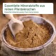 Schale mit braunem Pulver und einem Holzlöffel, beschriftet mit "Essentielle Mineralstoffe aus reinen Pferdeknocken."