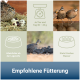 Wachtel mit Eiern, Wachtelgruppe am Wasser, Futternapf-Symbole mit deutschem Text zur empfohlenen Wachtelfütterung.