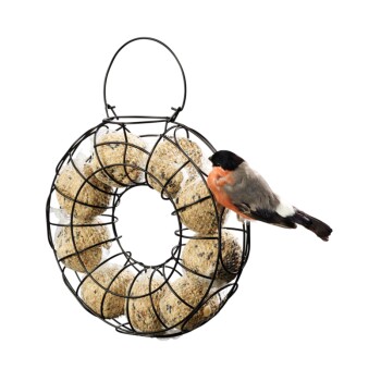 Support Boules Graisse Lot De 3 Mangeoires Oiseaux Métal XL