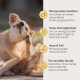 Dosen-Hundefutter mit der Aufschrift "MILO & MIA INSEKTEN & SÜSS-KARTOFFEL," mit einem Cartoon-Hund, einer Schüssel mit insektenbasierten Leckereien und Süßkartoffelscheiben.
