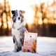 Ein blauer Merle-Hund steht im Schnee neben einem Sack Hundefutter mit der Aufschrift "wow", der Fisch, Spinat und Süßkartoffel zeigt.