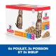 Boîte de nourriture pour chats Hill's Science Plan présentant un chat tigré, étiquetée "Adult 1-6," avec des saveurs : 6x poulet, 3x poisson de mer, 3x bœuf.