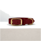 Ein rotes Haustierhalsband mit einer goldenen Schnalle, auf einer hellen Oberfläche vor einem schlichten Hintergrund präsentiert.
