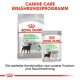 Royal Canin Digestive Care Verpackung mit einem "MINI" Trockenfutterbeutel und einem Nassfutterbeutel, der eine bessere Stuhlgüte fördert.