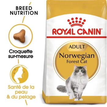 Norvégien Adulte Croquettes Chat 400 g Sac de croquettes Royal Canin Adult Norwegian Forest Cat avec une illustration de chat gris, avec un texte mettant en avant la nutrition de la race et la santé de la peau et du pelage.