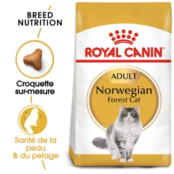 Sac de croquettes Royal Canin Adult Norwegian Forest Cat avec une illustration de chat gris, avec un texte mettant en avant la nutrition de la race et la santé de la peau et du pelage.