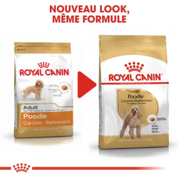 Caniche Adulte Croquettes Chien 3 kg