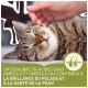 Un chat tigré content se fait caresser doucement, avec un texte mettant en avant les bienfaits des acides gras oméga-3 et oméga-6 pour la brillance du pelage et la santé de la peau.