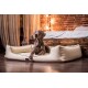 Ein elegantes, cremefarbenes Hundebett mit erhöhten Rändern steht auf einem Holzboden, mit einem grauen Weimaraner-Hund, der bequem darauf liegt.
