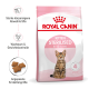 Royal Canin Kitten Sterilised Trockenfutterbeutel mit einer Bengal-Kitten-Illustration, die Vorteile für Kätzchen von 6-12 Monaten bewirbt.