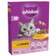 Whiskas cat food packaging featuring a gray cat looking at a bowl of kibble, labeled "With delicious CHICKEN," 300 g.