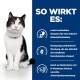 Eine schwarz-weiße Katze vor einem blauen Hintergrund hebt Vorteile hervor: leicht verdaulich, präbiotische Mischung, reich an Elektrolyten und B-Vitaminen.