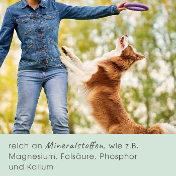 Eine Frau in einer Jeansjacke spielt mit einem springenden Hund und hält ein lila Spielzeug. Der Text erwähnt Mineralien wie Magnesium und Kalium.