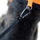 Nahaufnahme eines Hundegeschirrs mit einem orangefarbenen Riemen und einer schwarzen Leine, die an einem stabilen Karabiner befestigt ist, wobei das Fell des Hundes zu sehen ist.
