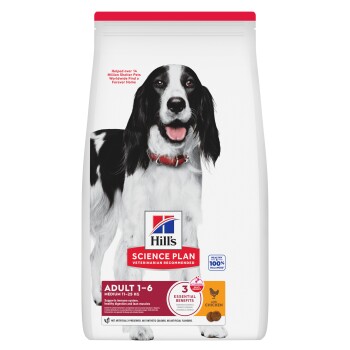 Sac de nourriture Hill's Science Plan montrant un chien noir et blanc portant un collier rouge ; mention « Adult 1-6 Medium 11-25 kg, Chicken »