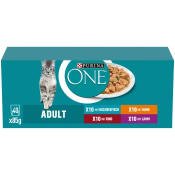 Die Verpackung von Purina ONE Katzenfutter zeigt eine graue Katze und listet die Geschmäcker auf: Hochsee-Fisch, Huhn, Rind und Lamm.