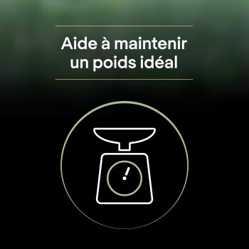 Icône blanche d'une balance de cuisine dans un cercle vert sur fond sombre, texte : « Aide à maintenir un poids idéal ».