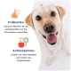 Golden Retriever Hund sitzt vor weißem Hintergrund neben deutschem Text über Präbiotika und Antioxidantien für die Gesundheit von Haustieren.