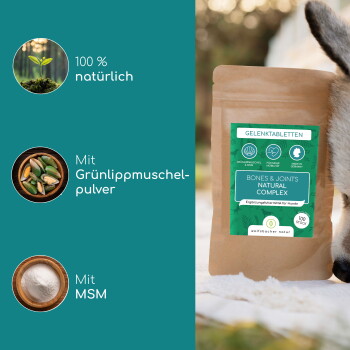 Fünf Hunde verschiedener Rassen auf einem Waldweg, mit Text über Gelenkgesundheit und Knochensupport für Hunde.