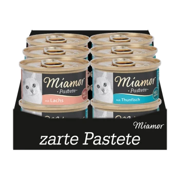 Sechs Dosen Miamor Katzenfutter in einer schwarzen Box, mit den Geschmacksrichtungen "mit Lachs" und "mit Thunfisch".