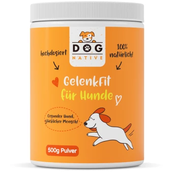 Behälter mit "GelenkFit für Hunde" Gelenkergänzungsmittel für Hunde, 500g Pulver, mit einer spielerischen Hundillustration und Text, der natürliche Zutaten hervorhebt.