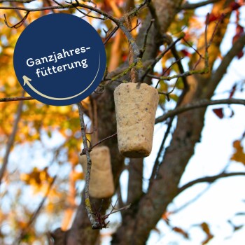 Zwei zylindrische Vogelfutterblöcke mit Nüssen auf einem Holzbrett, umgeben von Sonnenblumenkernen und einem "Beste Qualität"-Abzeichen.