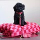 Ein kleiner schwarzer Hund sitzt auf einem rot-pink karierten Haustierbett, trägt ein passendes Halsband und eine Leine, mit einer kleinen roten Tasche daneben.