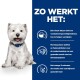 Een lachende witte hond zit naast een blauw paneel met voordelen van huisdiervoeding zoals ingrediënten voor gevoeligheden en omega-3 voor een gezonde huid.