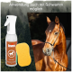 Envira Pferde Sprayflasche neben einem gelben Schwamm, mit dem Kopf eines braunen Pferdes im Hintergrund. Text: "Anwendung auch mit Schwamm möglich."