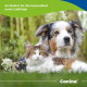 Katze und Hund liegen im Gras mit Blüten; deutscher Text ‚So fördert ihr die Gesundheit eurer Lieblinge‘ und Marke ‚Canina‘.