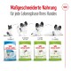 Royal Canin Hundefutterverpackung für verschiedene Lebensphasen: Welpe (2-10 Monate), Erwachsener (8-12 Jahre) und Senior (12+ Jahre).