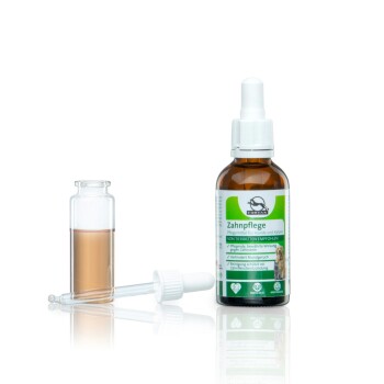 Flasche mit Zahnpflege-Lösung für Hunde und Katzen, beschriftet mit "Zahnpflege", mit einer Pipette und einem kleinen Fläschchen Flüssigkeit daneben.